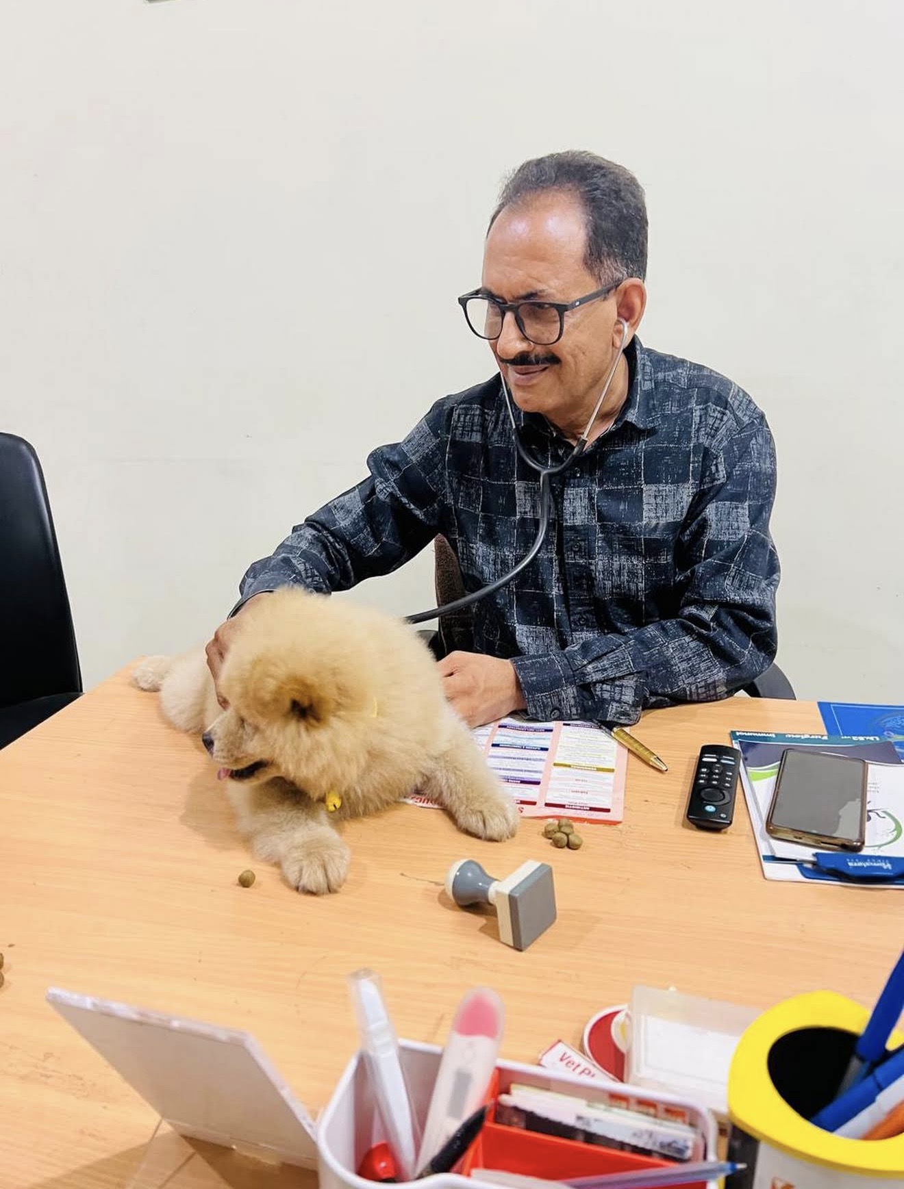 Doctor checking a pet at PetVet Veterinary Clinic