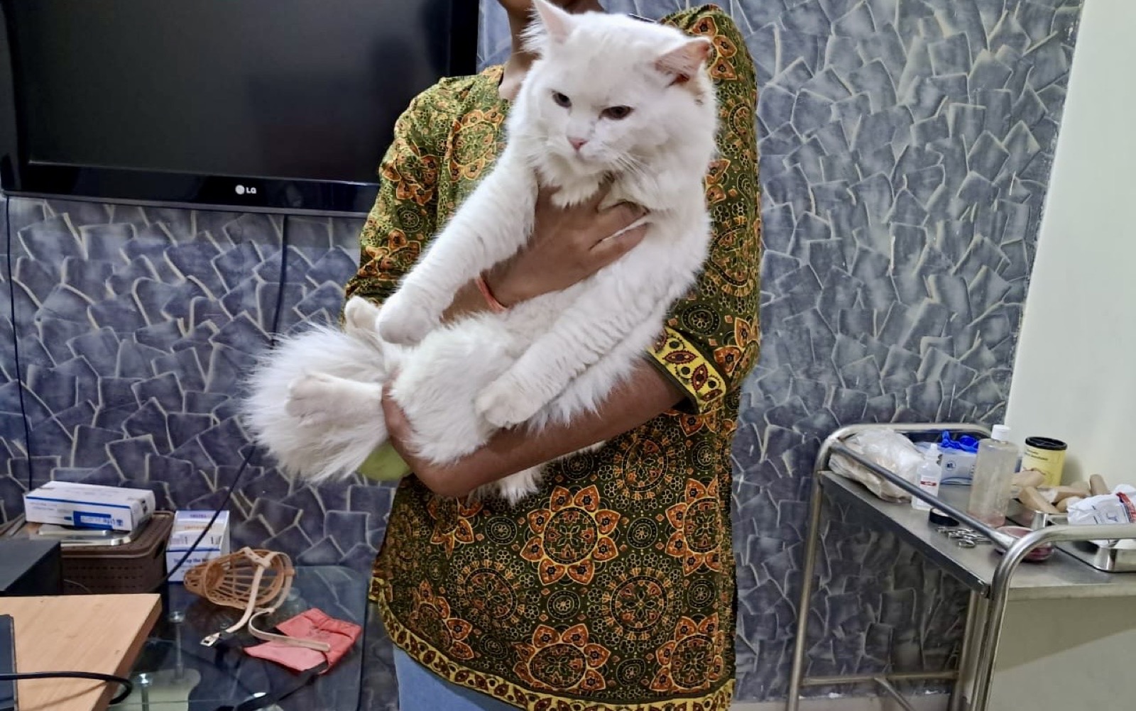 PetVet clinic photo 2
